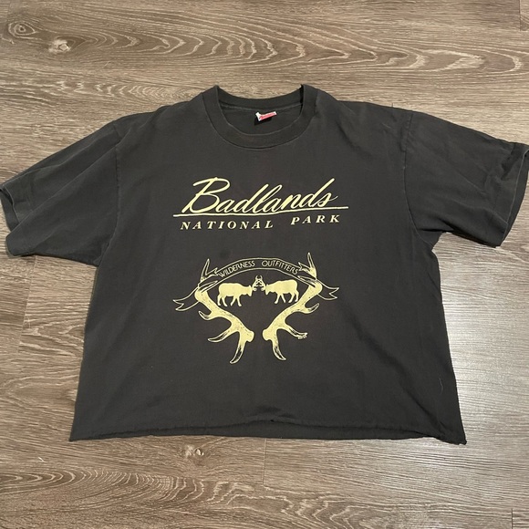 Vintage National Park Cropped Tee - Picture 1 of 3